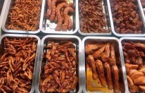 學鹵菜涼菜，來廚仟藝，零加盟費，技術為本！