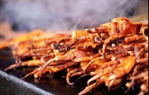 賣魷魚一個(gè)月掙多少錢？學(xué)會(huì)技巧，收入可期！