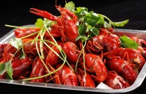 73 元做小龍蝦擺攤，6 元 / 盒卻遇城管？