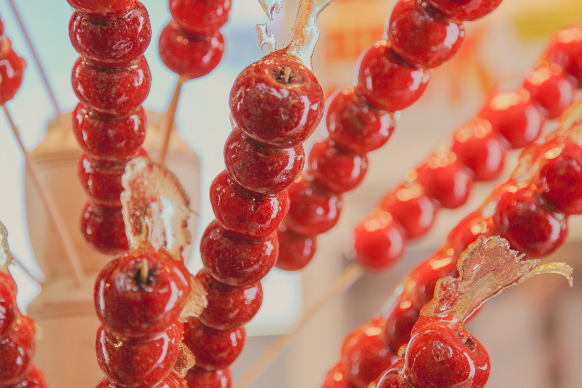 泰安哪里能學做糖葫蘆?不用加盟,純技術教學就在這里!