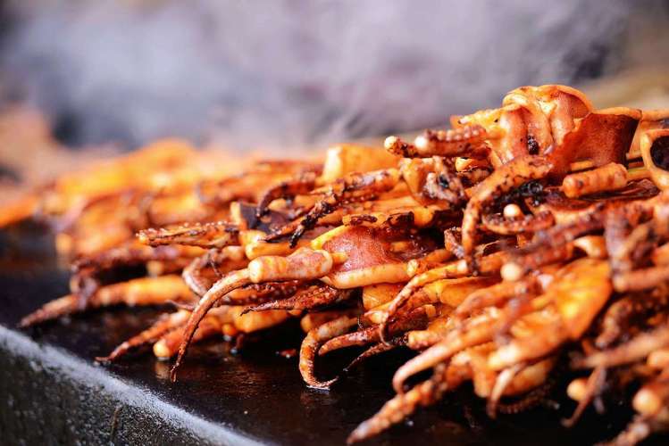 賣魷魚一個月掙多少錢？學會技巧，收入可期！