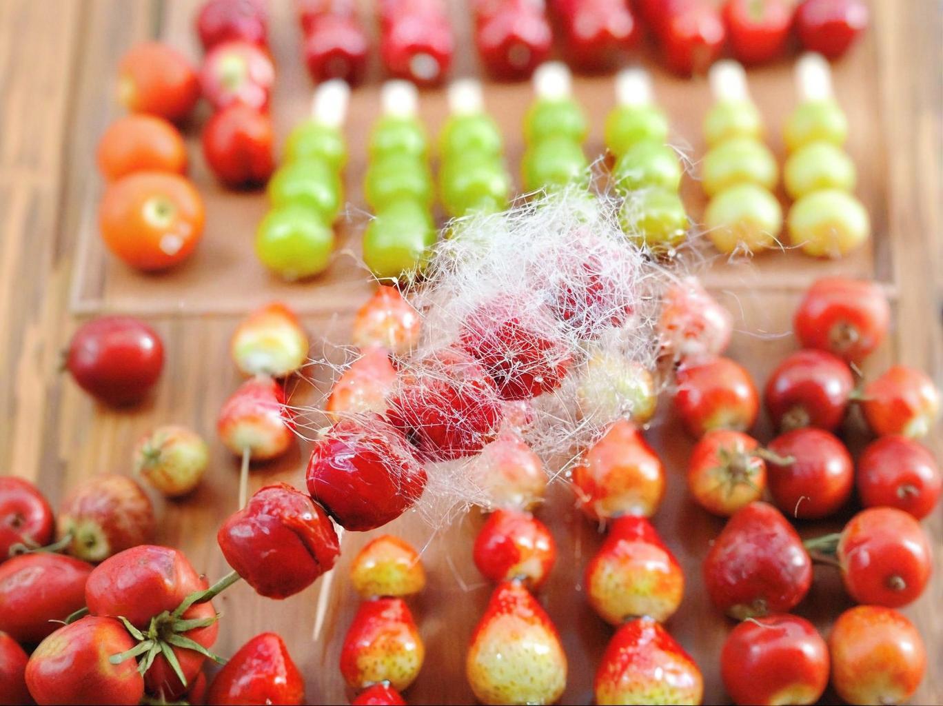 正宗糖葫蘆技術培訓好學嗎？制作細節怎么掌握？一篇講透！